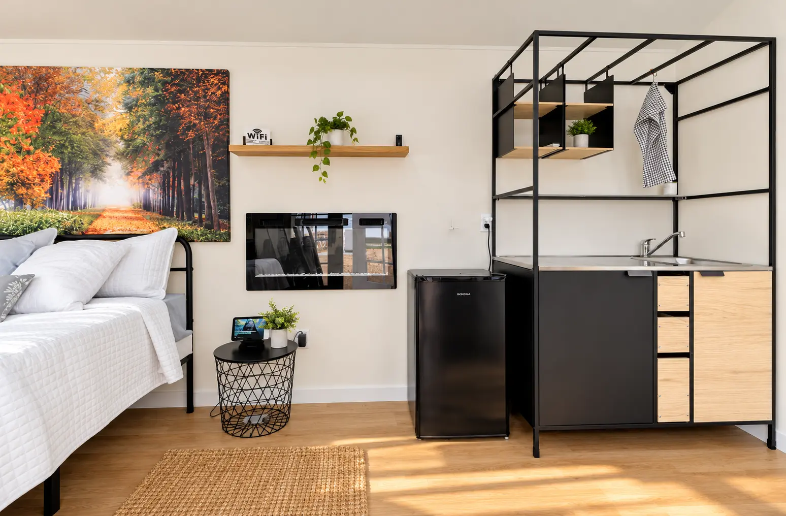 Tyler Studio and Spa — Fireplace, Kitchenette & Cabinets